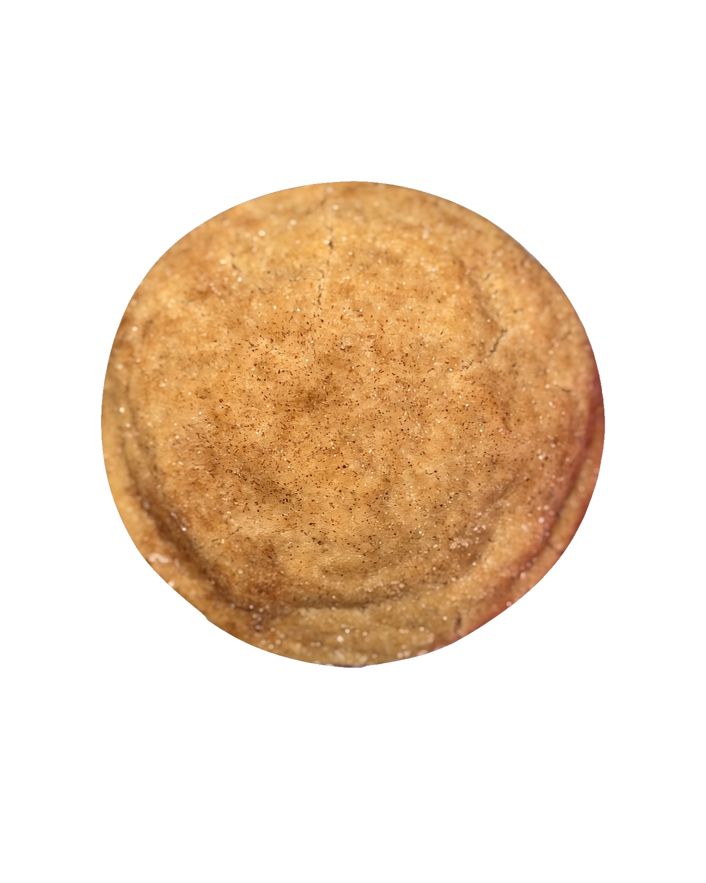 Brown Butter Snickerdoodle cookie
